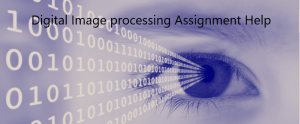 Image Processing Assignment Help