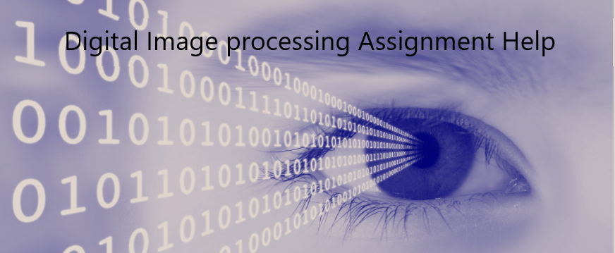 image processing assignment