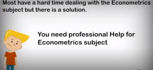 Econometrics homework help Services