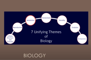 image of themes of Biology